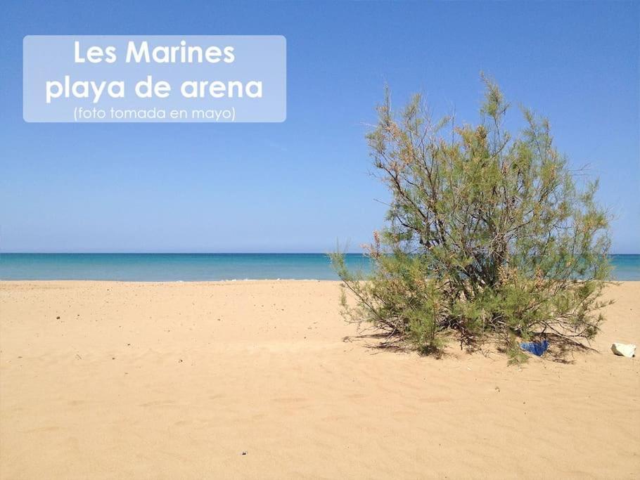 Piso Bajo 3 Habitaciones 2 Banos Y Gran Terraza Denia Εξωτερικό φωτογραφία